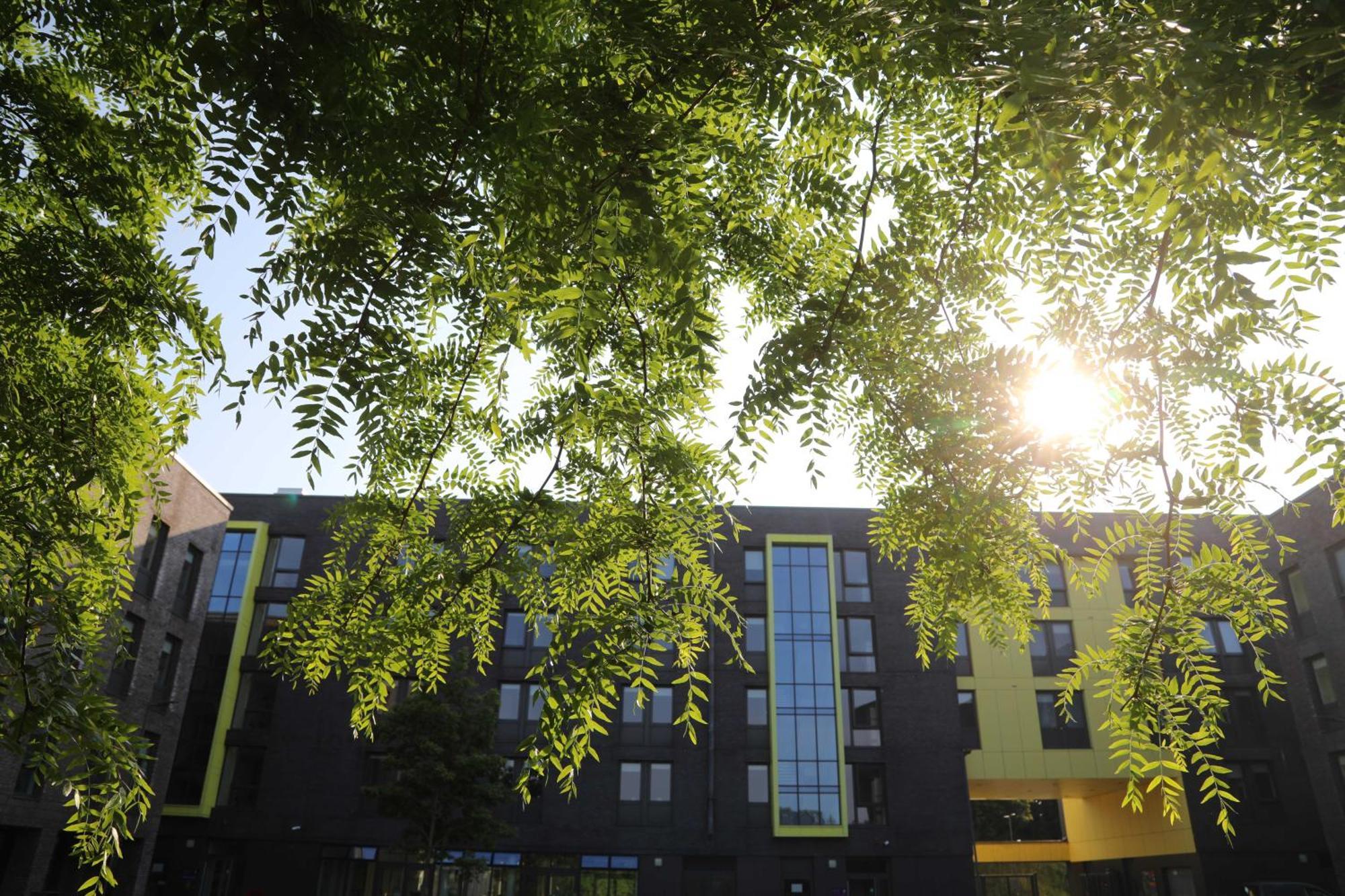Goldcrest Village Rooms University Of 골웨이 외부 사진